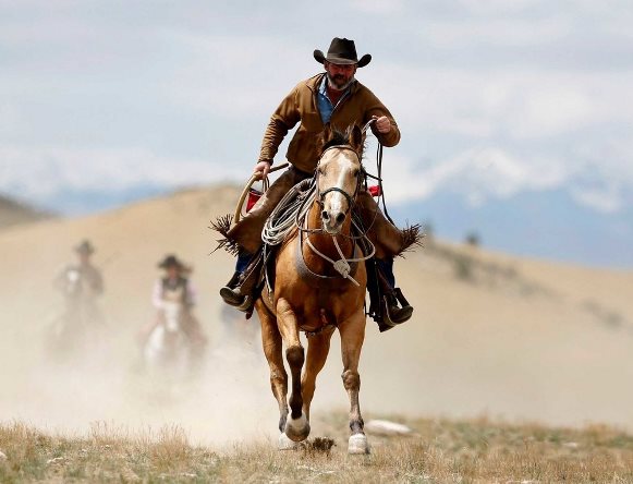 Cowboy poems