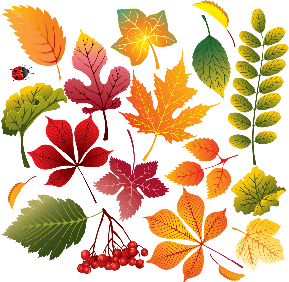 Poems about Leaves