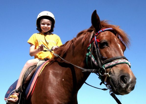 Horse poems