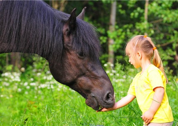 Horse poems