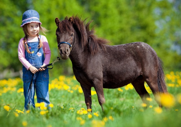 Horse poems