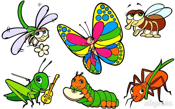 Insect poems