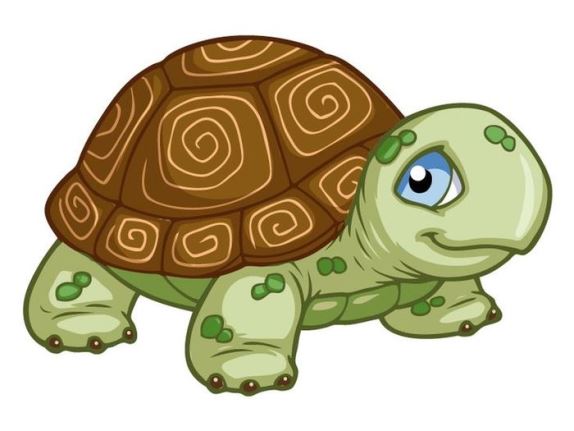 Poems about turtles